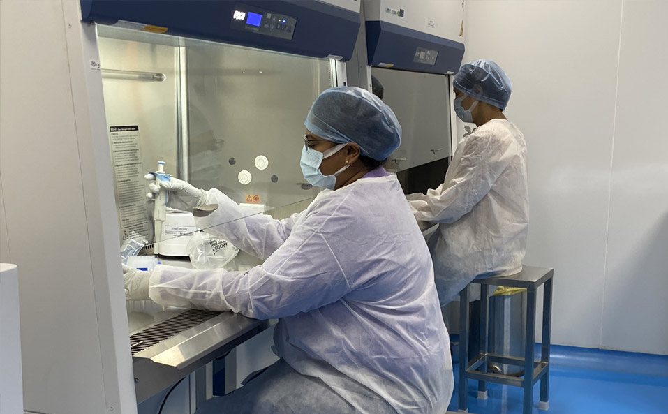 Manufacturing of CAR T cells
