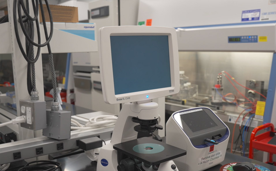 Manufacturing of Virus Vectors