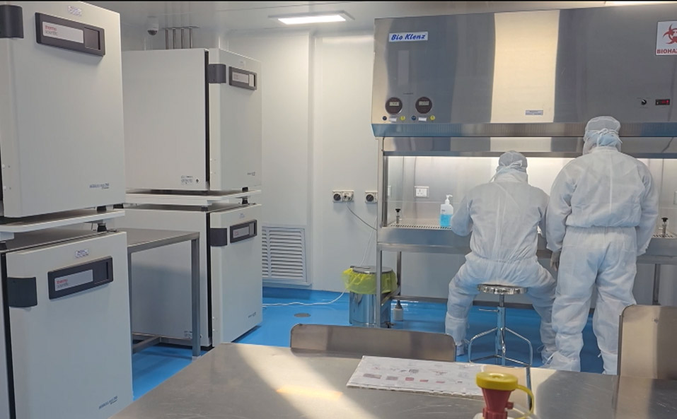 CAR-T Cell Therapies