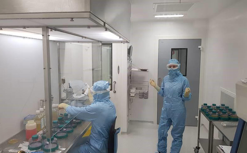 Gene Therapy Manufacturing Facilities